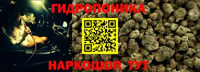 гашик Пыть-Ях