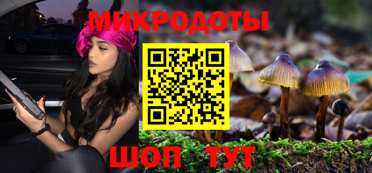 закладка  Псилоцибиновые грибы мухоморы  Карабулак  Вход с VPN  Галлюциногенные грибы прущие грибы 
