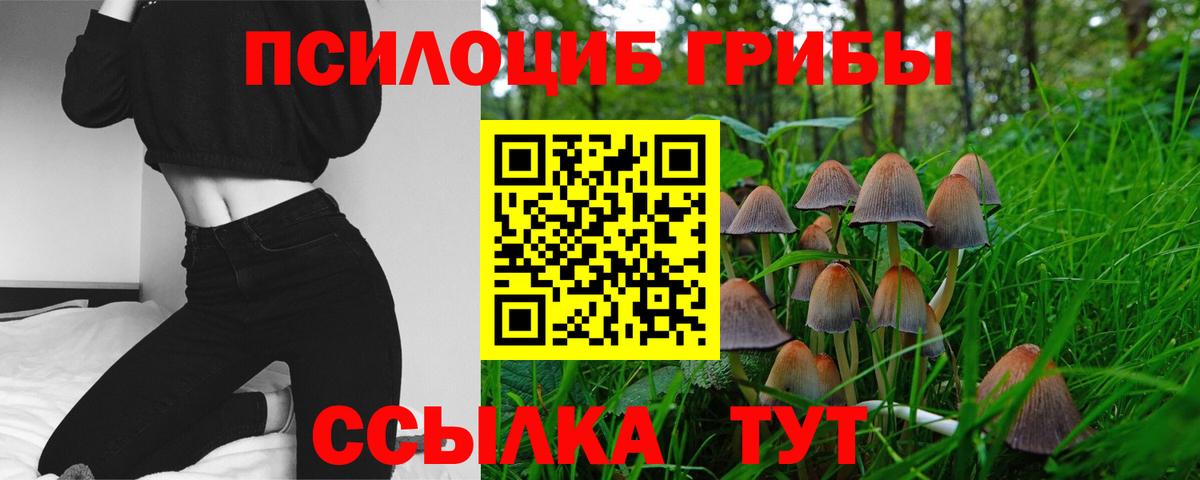 Галлюциногенные грибы мухоморы Карабулак